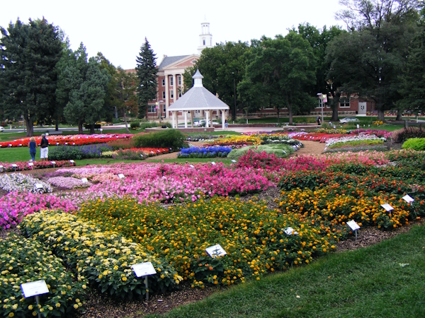 Colorado State University Flower Trial Gardens photo with Romans 1:20