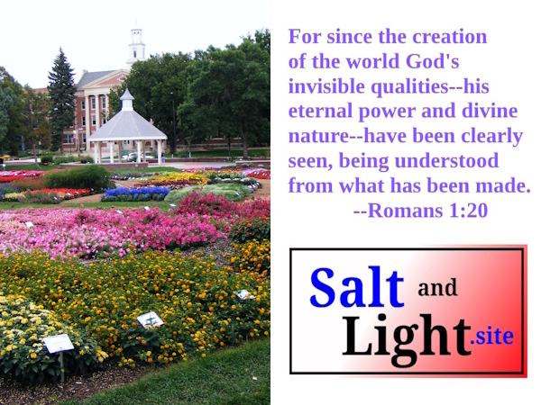 Flower Gardens photo with Romans 1:20