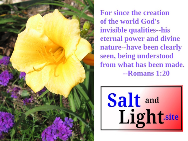 Flowers photo with Romans 1:20