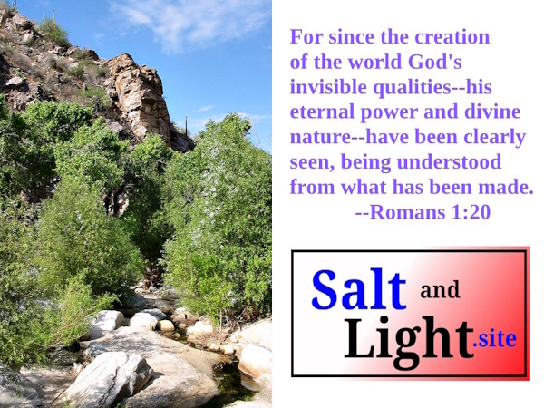 Sabino Canyon, Arizona photo with Romans 1:20