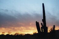 Arizona sunrise and sunset