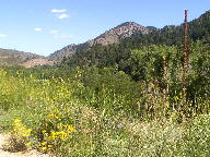 Bear Creek Canyon thumbnail