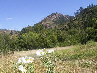 Bear Creek Canyon thumbnail