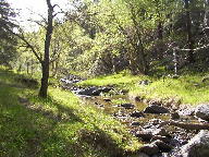 Custer State Park Black Hills South Dakota