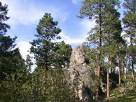 Custer State Park Black Hills South Dakota