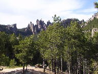 Custer State Park Black Hills South Dakota