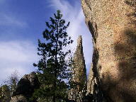Custer State Park Black Hills South Dakota