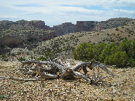 Bighorn Canyon National Recreation Area thumbnail