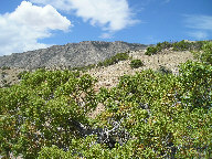 Bighorn Canyon National Recreation Area thumbnail