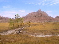 Badlands National Park Image