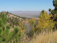 Bighorn Scenic Byway