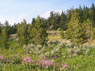 Bear Tooth Scenic Byway thumbnail