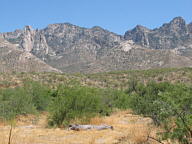 Catalina State Park thumbnail