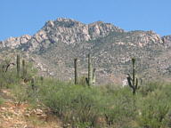 Catalina State Park thumbnail