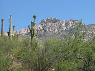 Catalina State Park thumbnail