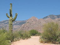 Catalina State Park thumbnail
