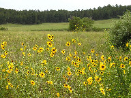 Castlewood Canyon State Park thumbnail