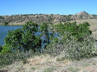 Curt Gowdy State Park in June thumbnail