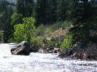 Cache La Poudre Wild and Scenic Byway thumbnail