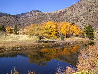 Cache La Poudre Wild and Scenic Byway thumbnail