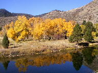 Cache La Poudre Wild and Scenic Byway thumbnail