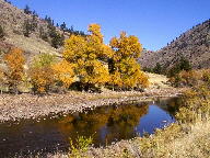Cache La Poudre Wild and Scenic Byway thumbnail