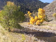 Cache La Poudre Wild and Scenic Byway thumbnail