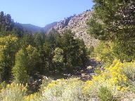 Cache La Poudre Wild and Scenic Byway thumbnail