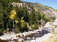 Cache La Poudre Wild and Scenic Byway thumbnail