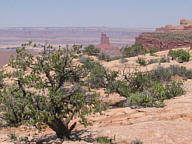 Canyonlands National Park thumbnail