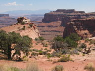 Canyonlands National Park thumbnail