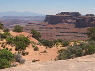 Canyonlands National Park thumbnail