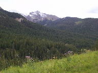 Colorado State Forest thumbnail