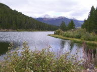 Colorado State Forest thumbnail