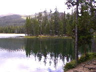 Colorado State Forest thumbnail