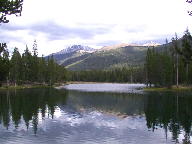 Colorado State Forest thumbnail
