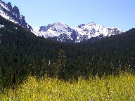 Colorado State Forest thumbnail