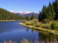 Colorado State Forest thumbnail