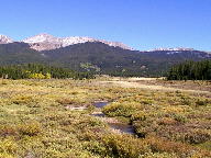 Colorado State Forest thumbnail