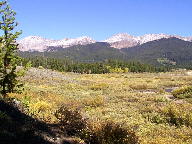 Colorado State Forest thumbnail