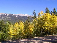 Colorado State Forest thumbnail