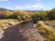 Colorado State Forest thumbnail