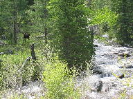 Crazy Woman Canyon Image thumbnail