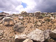 Mt. Evans Scenic Byway thumbnail