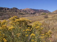 Garden of the Gods thumbnail