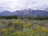 Grand Teton National Park