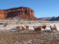 Kaycee Wyoming's Hole in the Wall & Redwall thumbnail