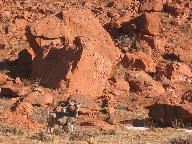 Kaycee Wyoming's Hole in the Wall & Redwall thumbnail