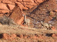 Kaycee Wyoming's Hole in the Wall & Redwall thumbnail