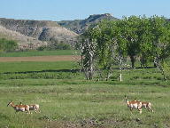 Kaycee Wyoming's Hole in the Wall & Redwall thumbnail